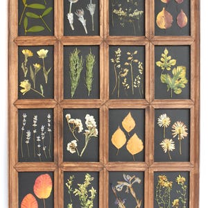 Grande cornice decorativa botanica nera pressata, decorazione da parete con fiori, erbario di arte essiccata, regalo per la perdita di un animale domestico, cornice floreale per cucina