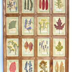 Fiori pressati incorniciati, decorazioni da parete in stile country con erbe aromatiche, quadri essiccati veri, erbario francese con elementi botanici retrò da appendere.