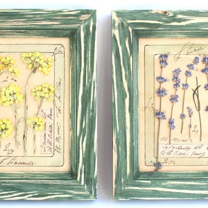 Fiori pressati vintage per la casa, decorazioni da parete in stile fattoria con cornice, set con cornice in stile francese, piante di erbe aromatiche essiccate, regalo per la perdita di un animale domestico, arte floreale secca