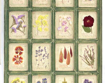 Green Herbarium Large Country Frame, Pressed Flower Art Flowers Wall Decor, Botanical Framed Herbs Dried, Lavender Rose Leaf Cottage, 16