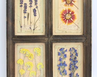 Pressed Framed Dried Flowers Vertical, Set French Country Black Wildflower Vintage Art, Herbal Decor Dry Wall Real Herbarium Floral Display