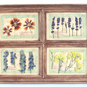 Arte con fiori pressati, decorazioni per la casa in stile fattoria, decorazioni floreali da parete, cornici botaniche, fiori secchi incorniciati, erbario rustico, galleria di erbe vintage
