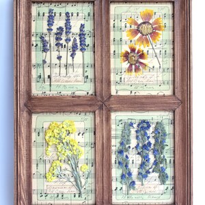 Botanici pressati, decorazioni per la casa con cornice, fiori da appendere alla parete, arte vintage essiccata, fattoria di erbari, quadro da cucina floreale retrò Herbier essiccato