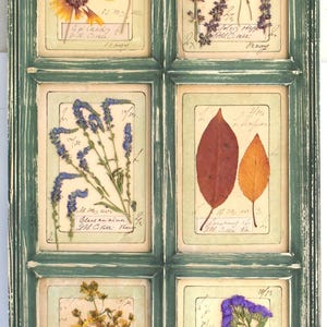 Cornice alta con fiori pressati, quadro con cornice in stile cottage francese, decorazione con erbe essiccate, originale arazzo vintage, vera pianta selvatica botanica secca