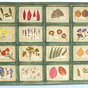 Farmhouse Botanicals Herbarium Wall Decor, Pressed Flower Art, Framed Dried Flowers, Vintage Dry Herbs Green, Large Rustic Frame Hanging Set