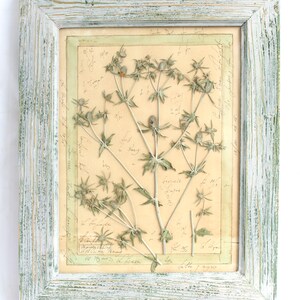 Decorazioni murali in stile fattoria, arte con fiori pressati, arazzi vintage con cornice, quadri con fiori secchi, piante di erbe secche con cornice, opere d'arte botaniche