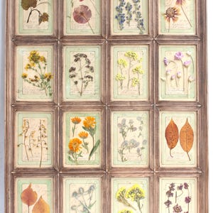 Fiori secchi pressati, fiori vintage da appendere, decorazioni originali con cornice secca, quadri da parete per la casa, cornici marroni retrò, dipinti rustici di erbe aromatiche francesi