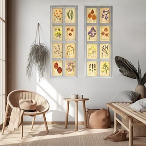 Set botanico blu di 2 cornici alte con fiori secchi, stile francese, arte murale botanica alta, decorazione murale Framhouse, fiori pressati con cornice vera