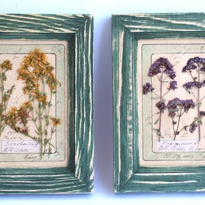 Set di 2 piccole cornici vintage, arte con fiori secchi, decorazione da parete con fiori pressati, regalo per sorella, decorazioni floreali secche, fattoria botanica