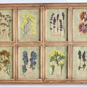 Pressed Flowers Art, Framed Dry Herbarium, Farmhouse Home Frame, Vintage Floral Large, Kitchen Picture Rustic, Dried Herbs Plant Wall Decor