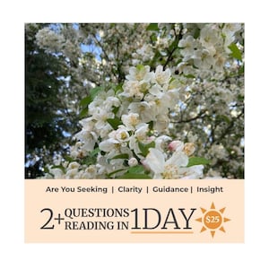 May include: Image of a flowering tree with white blossoms. The image includes text that reads: "Are You Seeking | Clarity | Guidance | Insight" and "2+ QUESTIONS READING IN 1 DAY $25". The background is blurred with green foliage.