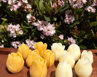 Tulipanes florecidos de cera de abeja - Juego de 6