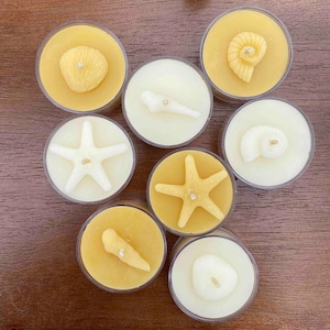 100% Beeswax - Sea Shell Tea Light Candles in Natural and Ivory