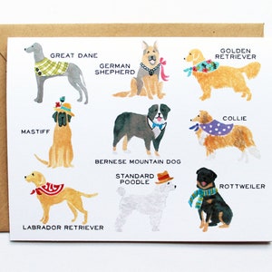 Jede Anlasskarte - Talls Dog Collection - Set mit 8 Karten