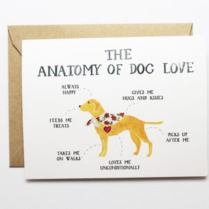 Anatomía de la tarjeta de amor canino