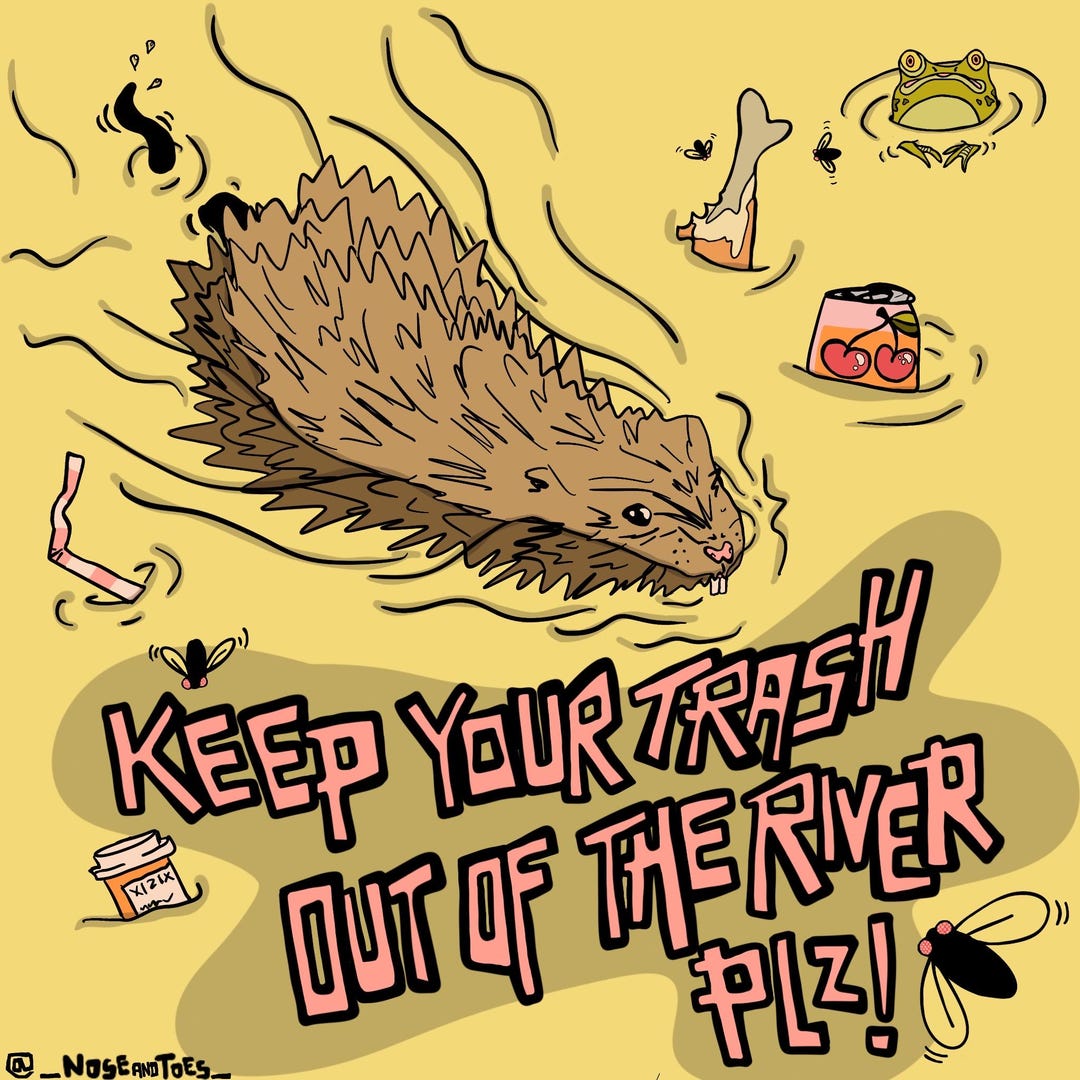 Muskrat Sticker No Trash Muskrat Sticker - Etsy