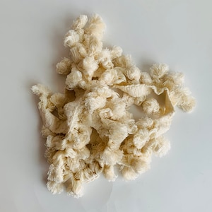 May include: A pile of off-white fabric trim with a fringe and pom-pom detail. The trim is made of a soft, textured fabric and has a delicate, feminine look.