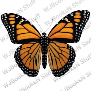 Monarch Butterfly print, aspect ratio 1:1, suitable for printing and framing, white background.