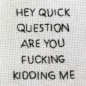 MADE TO ORDER - Quick question -   hand embroidery 4x6 in a solid black frame