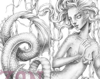 Adult Coloring Page | Mermaid | Grayscale Illustration | Zan Von Zed