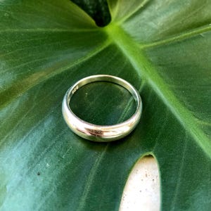 Könnte beinhalten: Ein polierter Silberring mit abgerundetem Band, der auf einem großen, leuchtend grünen Blatt liegt. Die glatte Oberfläche des Rings reflektiert das Licht. Der Ring ist ein schlichtes, elegantes Schmuckstück.