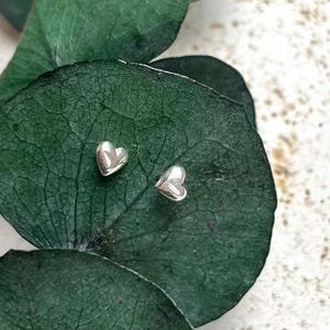 Könnte beinhalten: Ein Paar kleiner, herzförmiger Ohrringe aus Silber. Die Ohrringe werden auf einem großen, dunkelgrünen Blatt mit sichtbaren Adern präsentiert. Der Hintergrund ist eine helle, gesprenkelte Oberfläche, die einen Kontrast zu den Ohrringen und dem Blatt bildet.