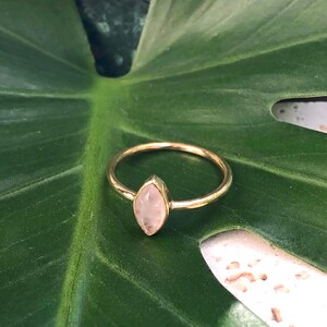 Könnte beinhalten: Ein goldener Ring mit einem hellrosa, marquiseförmigen Edelstein. Der Ring ist vor einem grünen Blatt platziert, was einen natürlichen Kontrast erzeugt. Der Ring hat ein schmales, zartes Band.