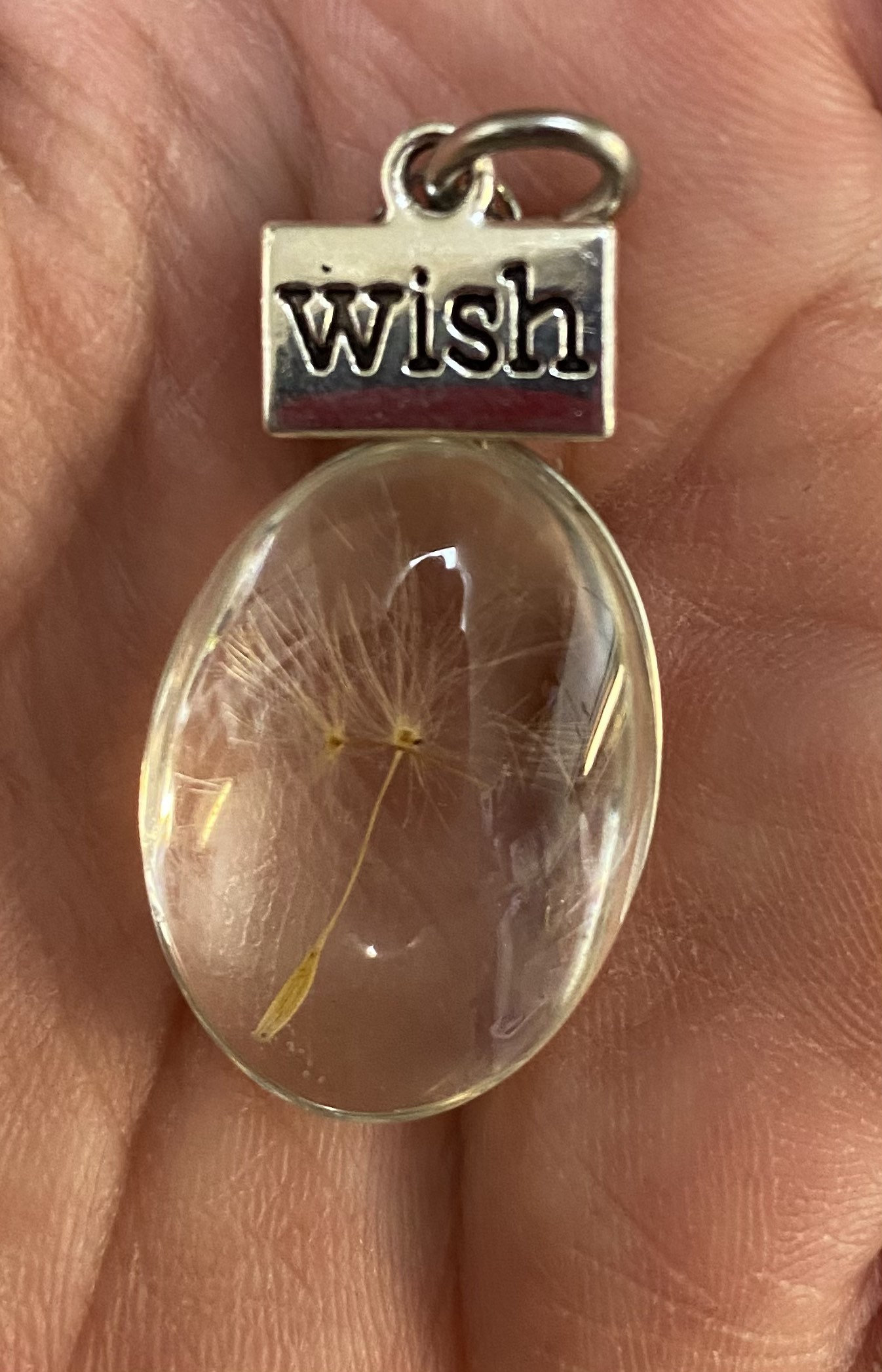 Make a Wish Captured Floating Dandelion Seed Pendant With Bonus 25