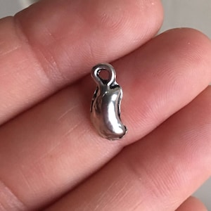 Kidney Pandora Charm Etsy