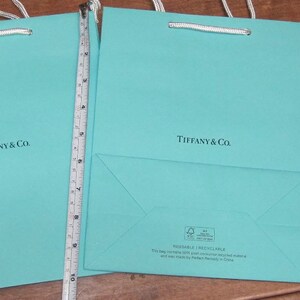 Little blue bag 🩵 @Tiffany&Co., tiffanyandco