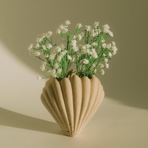 Vaso in conchiglia di pietra / Porta piante secche / Regali e decorazioni per la casa fatti a mano e sostenibili