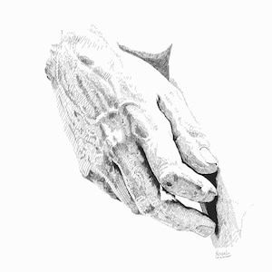 Estudio de la estatua de David de Miguel Ángel - Mano de David - Blanco y negro