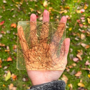 May include: A square, clear resin coaster with black hair strands embedded throughout. The coaster has a golden-yellow hue and is held up against a background of green grass and fallen leaves.