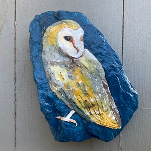 Barn Owl painted rock paperweight