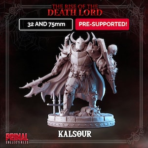 Kalsour Dark Knight - The Rise of the Death Lord Masters of Dungeons Quest  Miniature Primal Collectibles