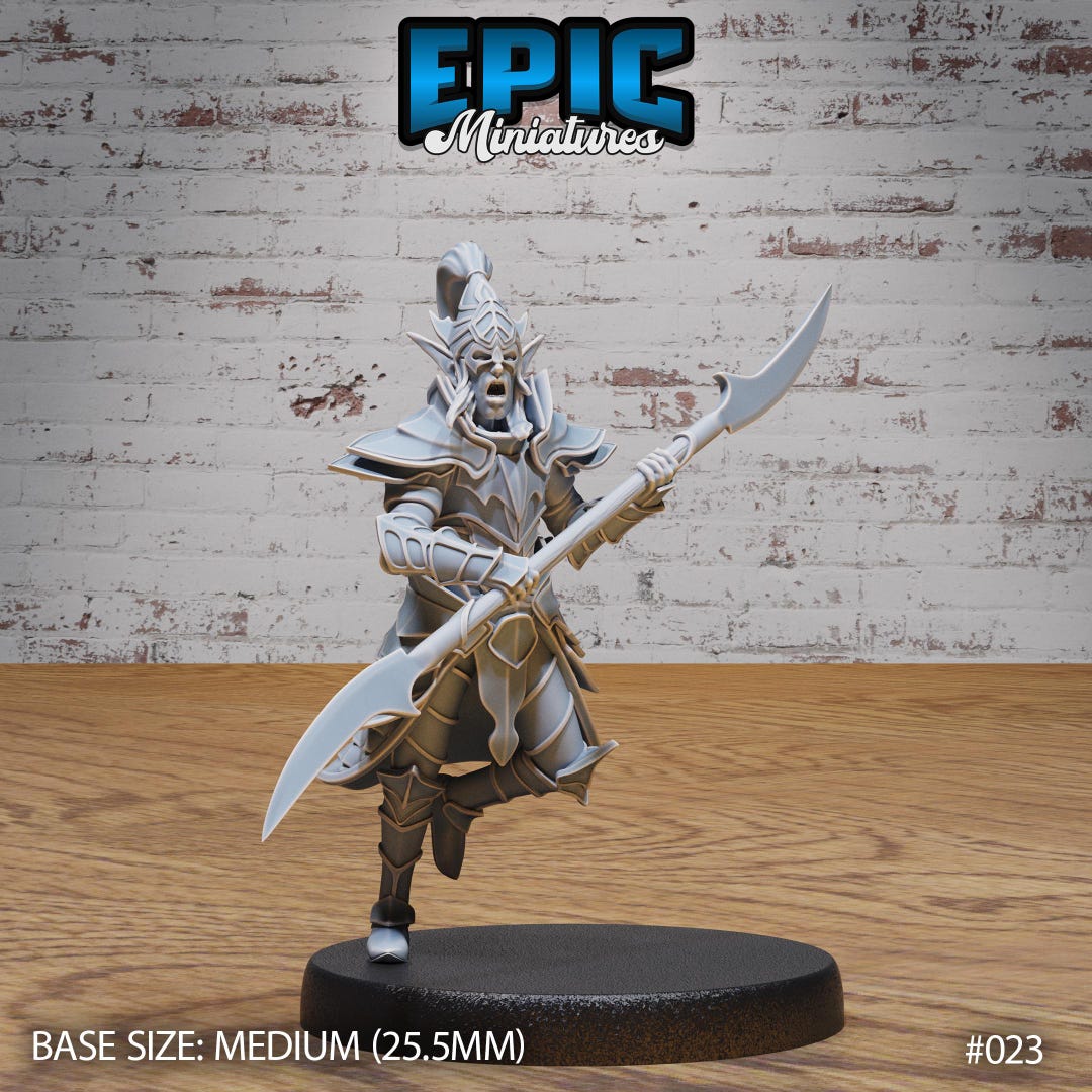 Dark Elf Drow With Double Bladed Spear Epic Miniatures Dungeons Il 1080xN.6598585927 7xmm