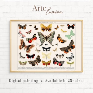 Vintage Butterfly and Moth Wall Art, Entomology Print, Natural History Insect Poster, Educational Bug Decor, Digital Print 132