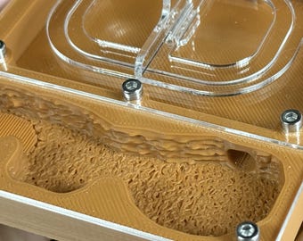 Ant farm "Eco"  Natural organic nest design