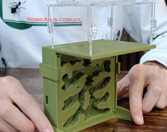 Ant farm "Hill" Vertical formicarium