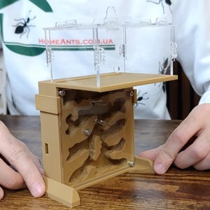 &quot;Ameisen Farm &quot;&quot;Hill&quot;&quot; Vertikal Formicarium Ameisenhaufen, Ameisen, Ameisennest, Ameisenhalter, Ameisenhaltung.&quot;
