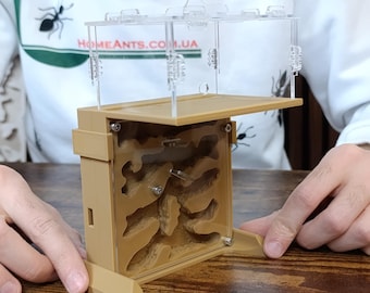 Ant farm "Hill" Vertical formicarium