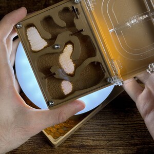 May include: A tan ant farm with a clear lid is held open, revealing the interior chambers and a glowing white light. The base contains small, orange spheres. The design includes mesh ventilation and metal fasteners.