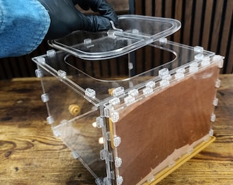 Ant Farm, Natural Sand–Clay Formicarium "Khodyky"