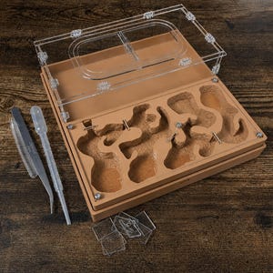 May include: A tan ant farm with a clear acrylic lid, featuring carved internal tunnels and chambers. The set includes a pair of metal tweezers, a clear plastic pipette, and several small square acrylic covers for the tunnel openings.