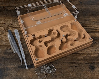 Ant farm " "Easy Start PLUS"  Natural organic nest design