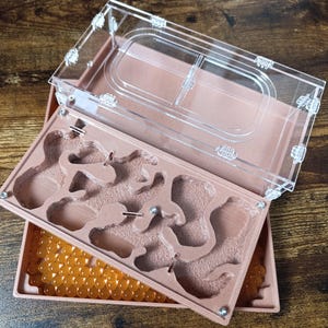 Ant farm &quot; &quot;Easy Start PLUS&quot;  Natural organic nest design