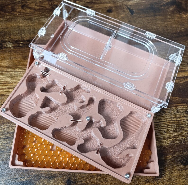 Ant farm " "Easy Start PLUS"  Natural organic nest design