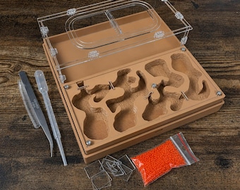 Ant farm " "Easy Start PLUS"  Natural organic nest design