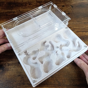 Ant farm &quot; &quot;Easy Start PLUS&quot;  Natural organic