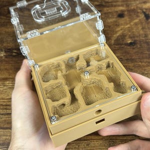 Ant farm "Architect" Natural organic nest design